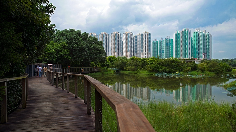 【香港湿地公园摄影图片】香港湿地公园风光旅