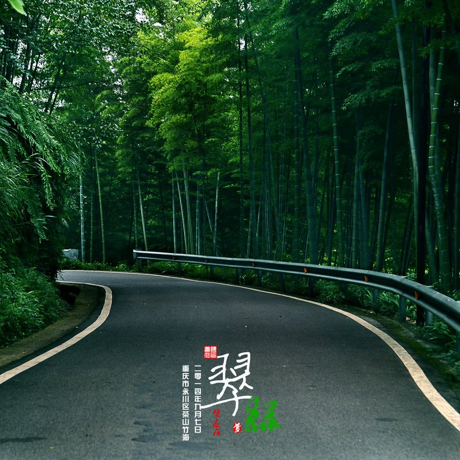 【翠绿摄影图片】重庆永川茶山竹海风光旅游摄