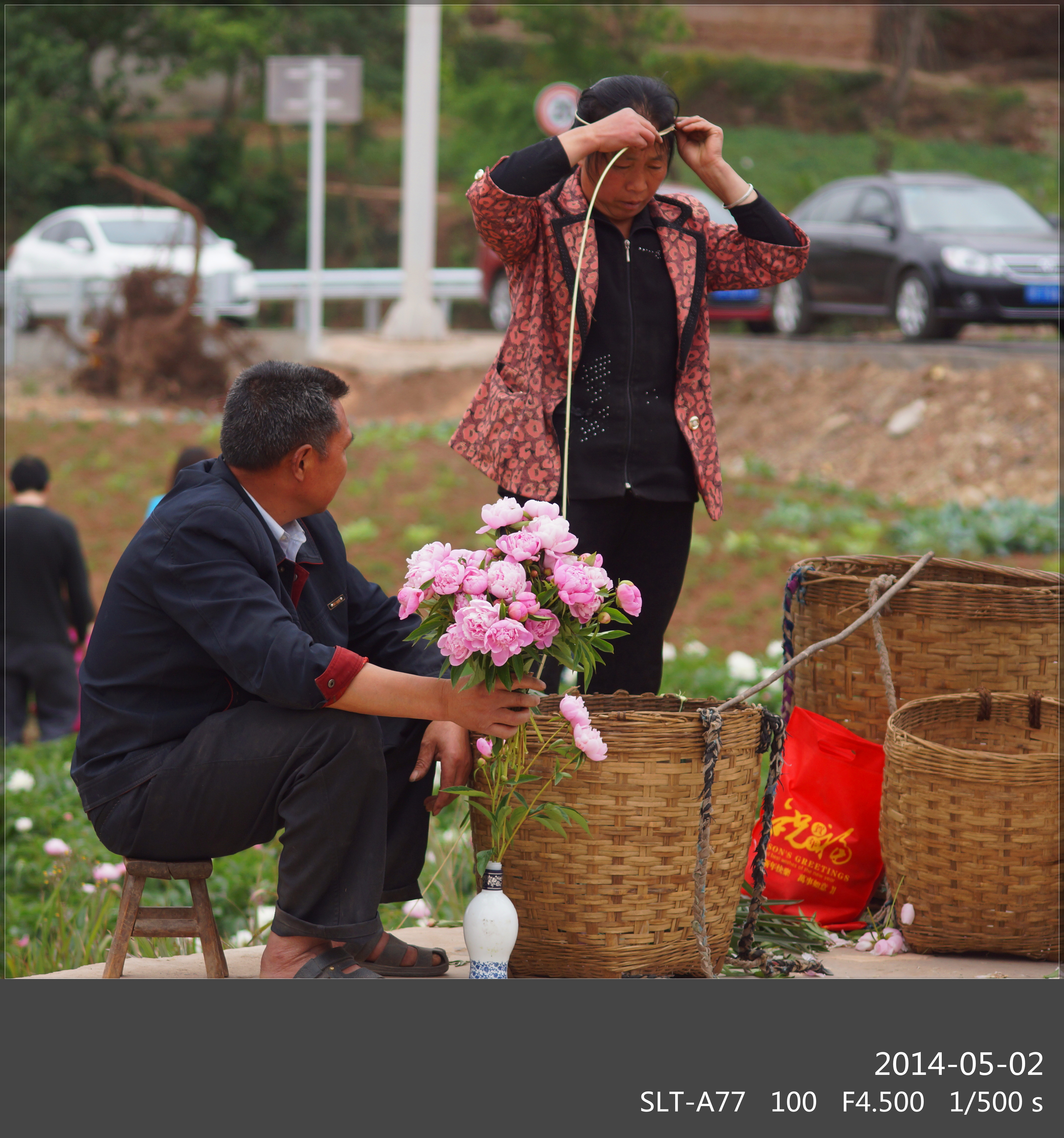 芍药谷中卖花人