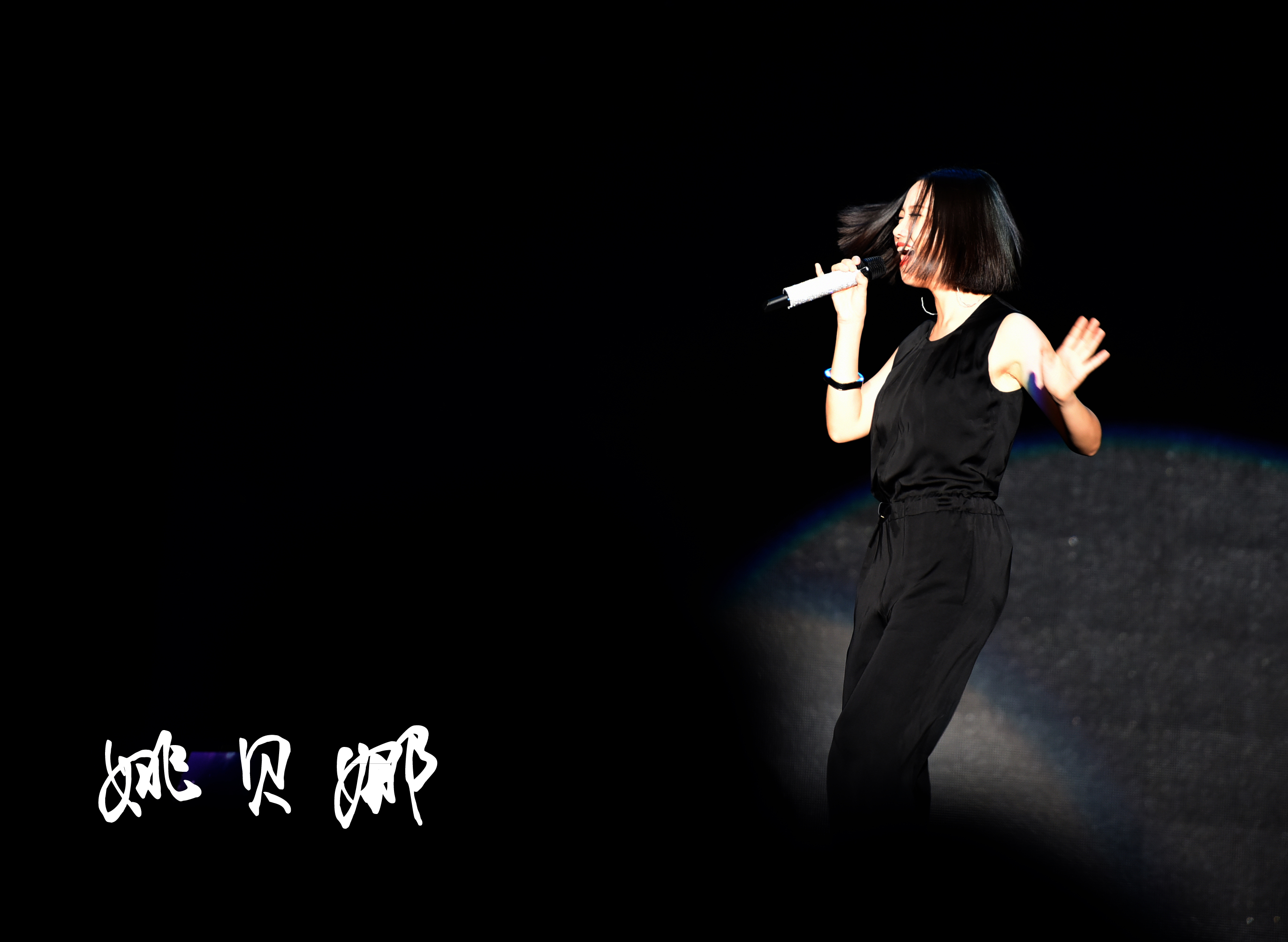 姚贝娜——中国好声音