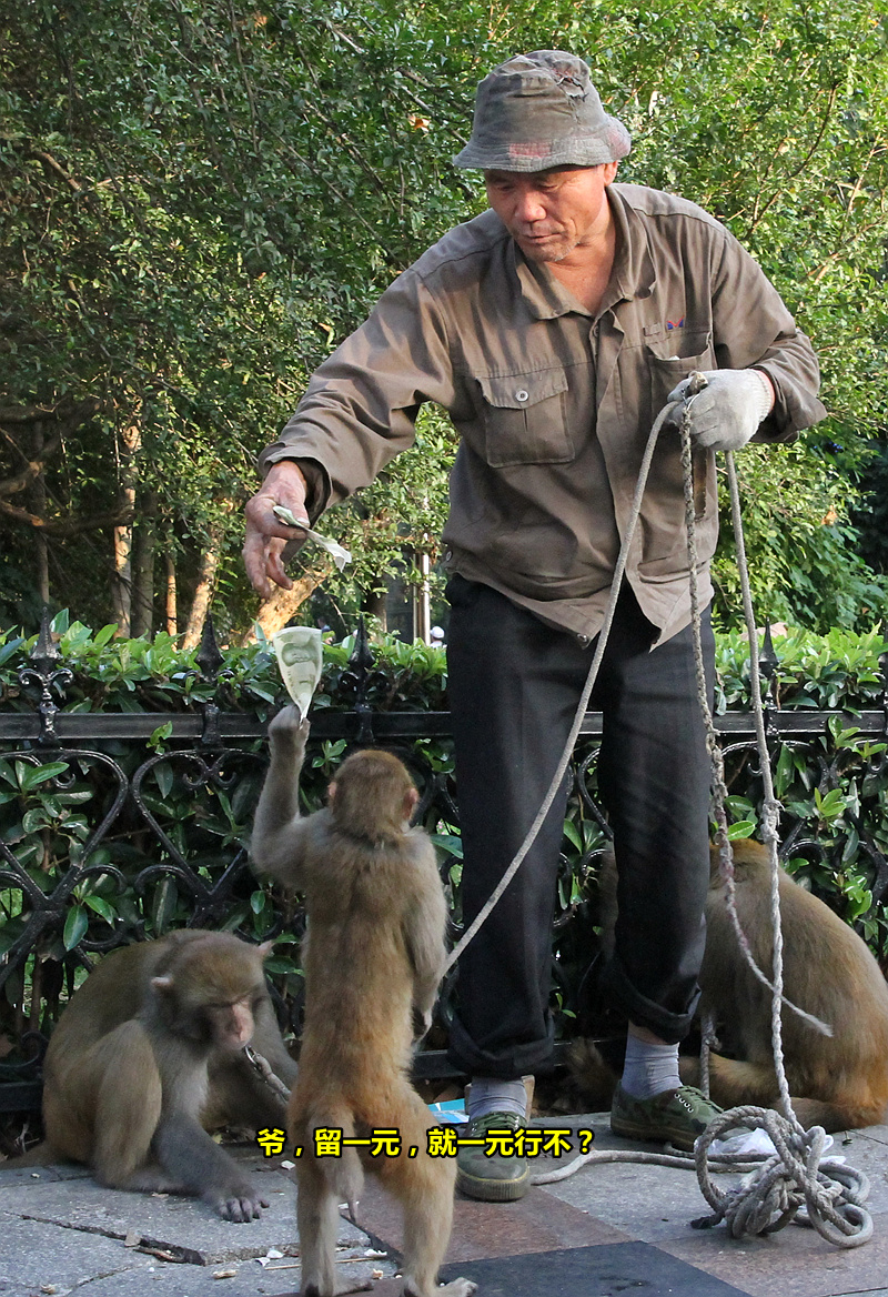 十一路边耍猴人