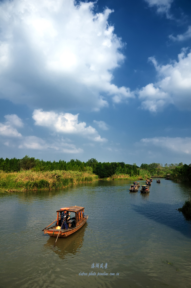 【《溱湖风景》摄影图片】泰州溱湖风景区风光摄影