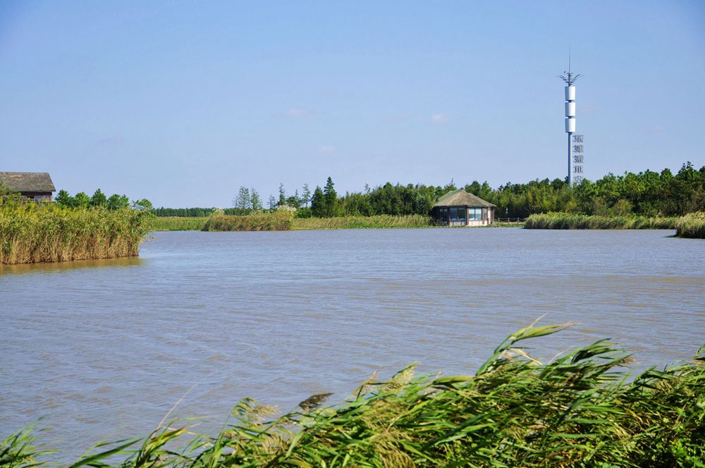 东滩湿地公园