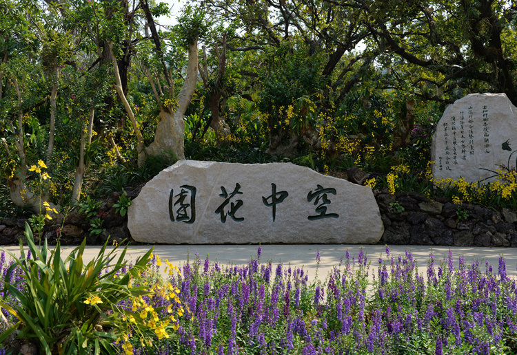"优雅的兰园"
