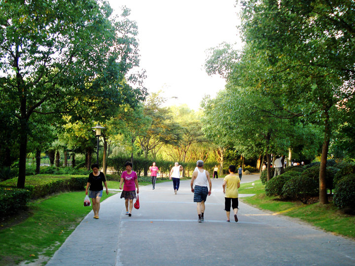 夏日里公园的早晨,晨炼的人们,增添了公园的色彩,同时又给人