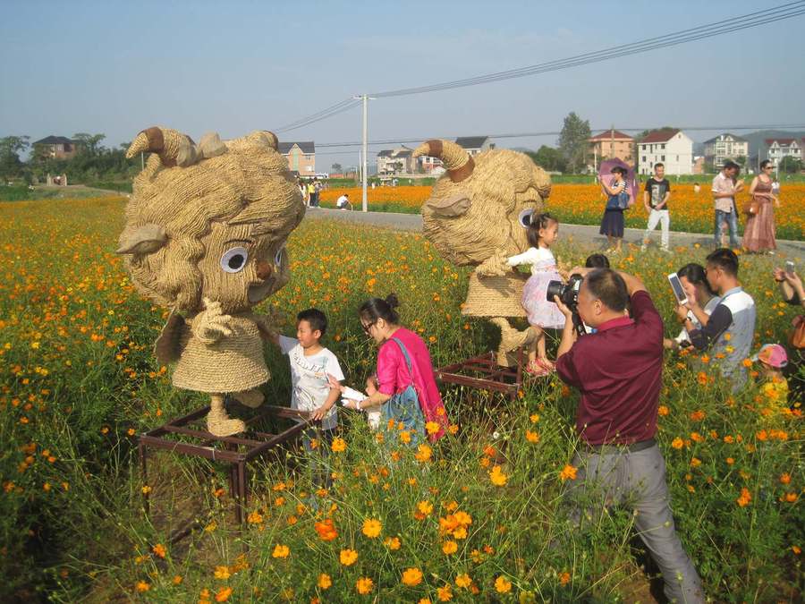 富阳荻浦花海