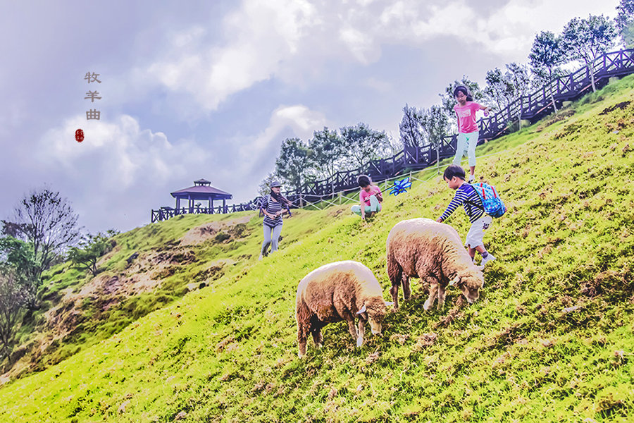 【牧羊曲摄影图片】台湾清境农场纪实摄影