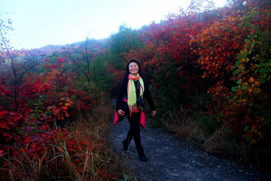 【红叶好美我先拍摄影图片】河南三门峡渑池黄