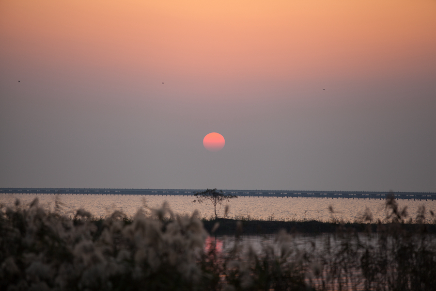【几度夕阳红摄影图片】无锡大溪港风光旅游摄