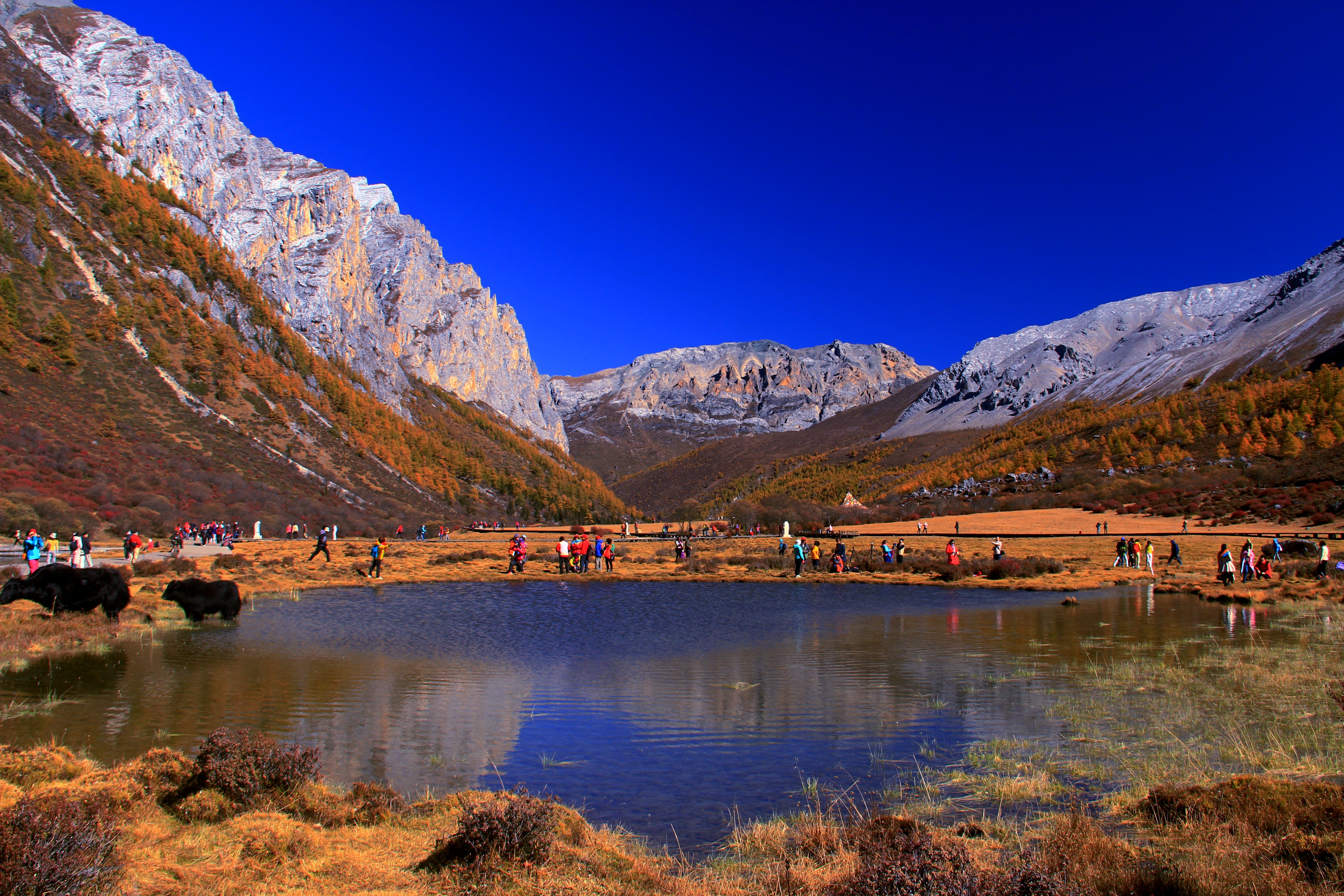 【最美的香巴拉-亚丁摄影图片】四川稻城风光旅游摄影_老牛吧