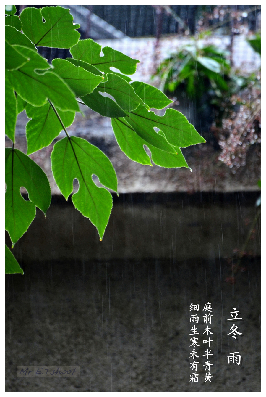 【立冬 雨摄影图片】广西桂林生活摄影_et来也_太平洋