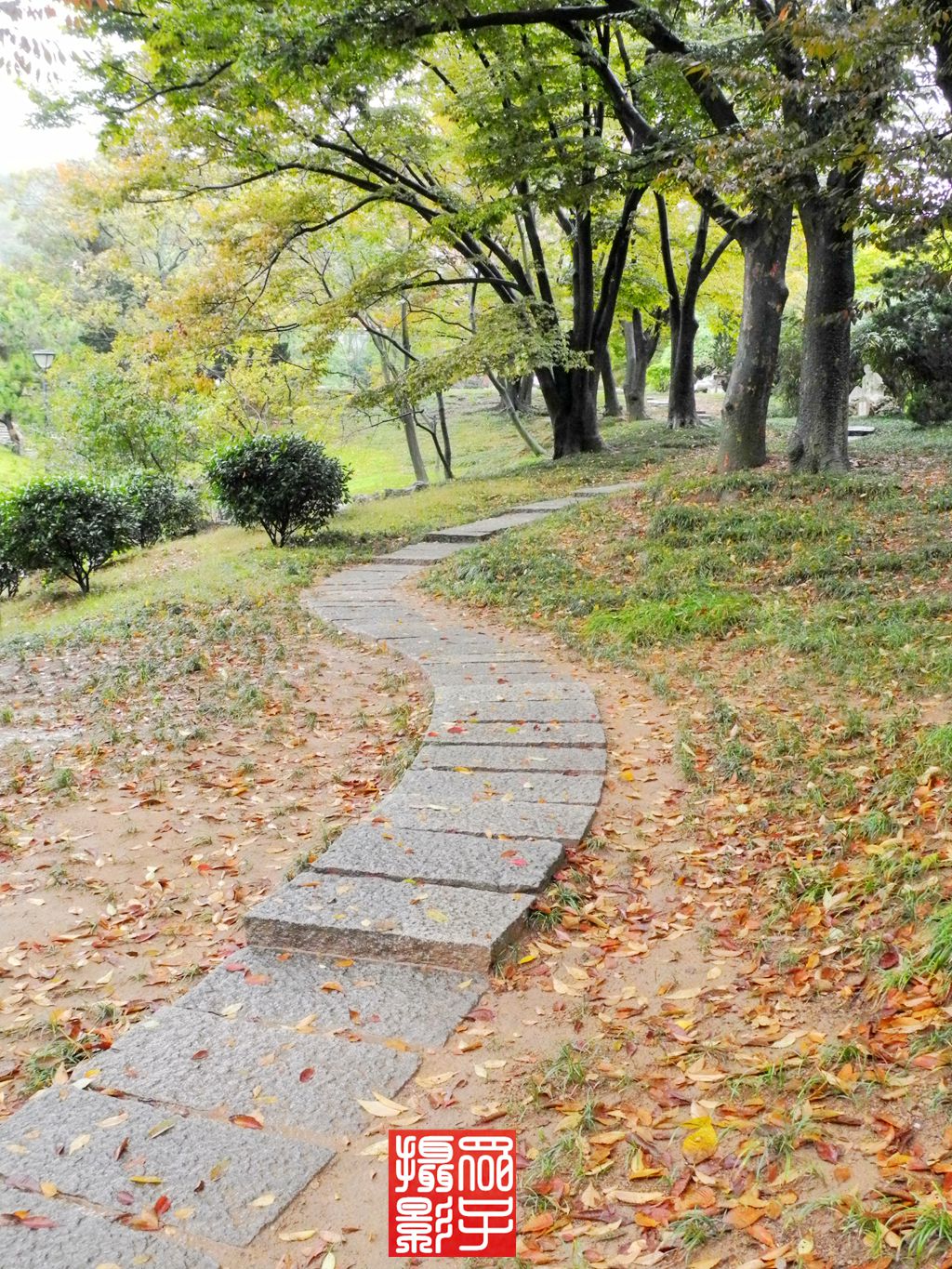 雨中漫步