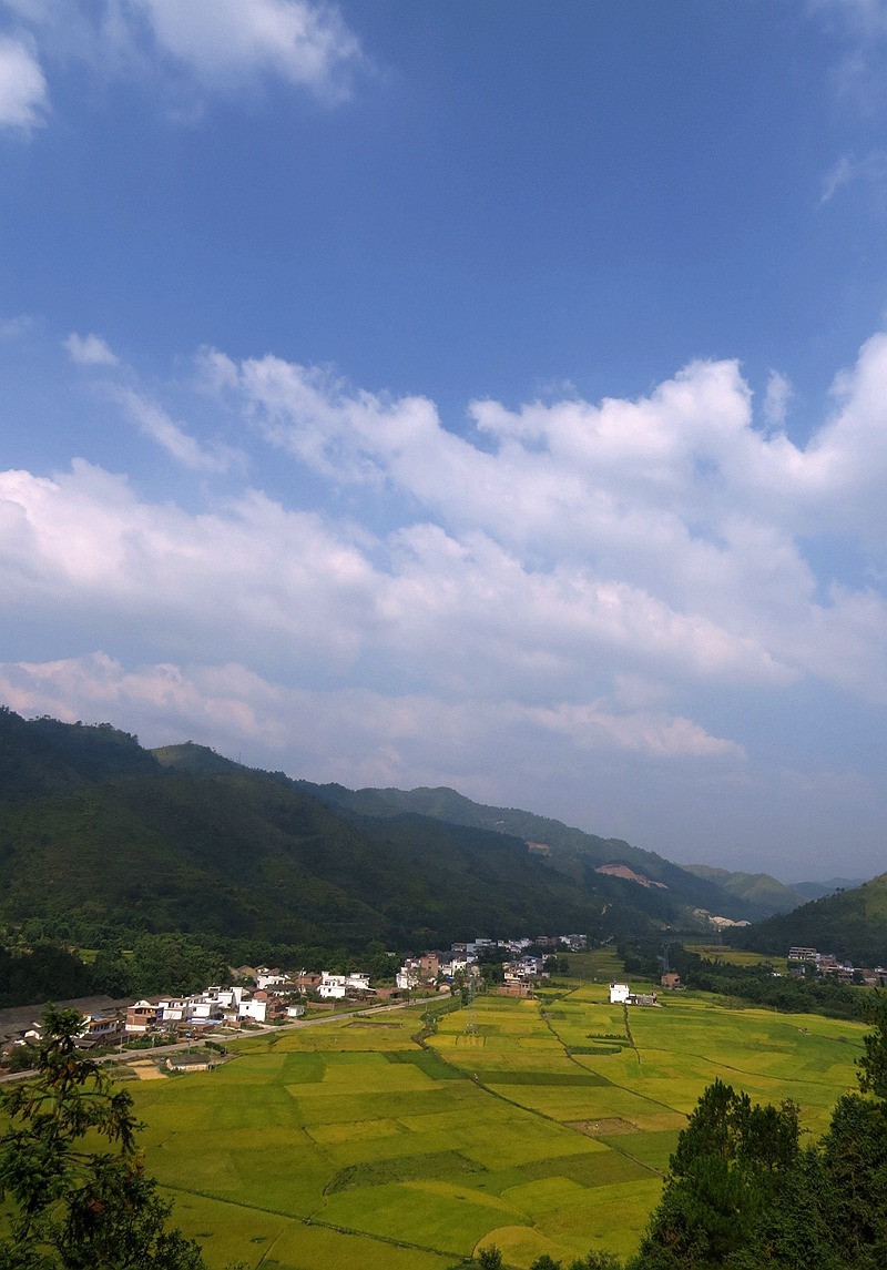 不一样的家乡风景!