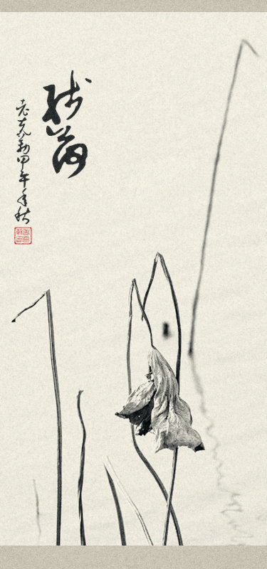 残荷七屏