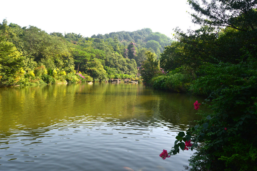 白云山(云溪公园)