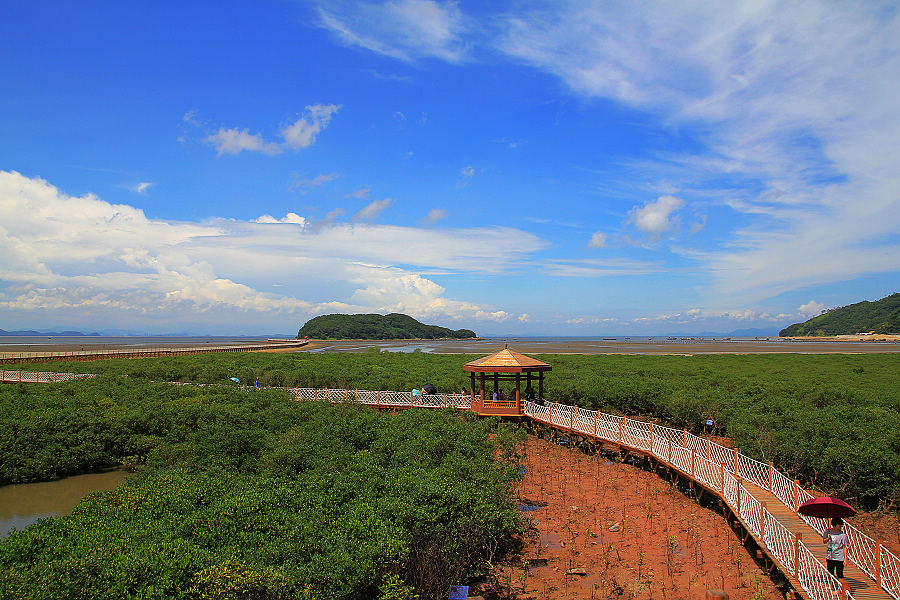 海陵红树林景区