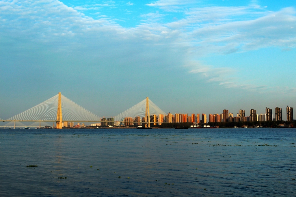 【夕阳下的芦苇摄影图片】武汉市汉口江滩风光摄影_明天会更好_太平洋