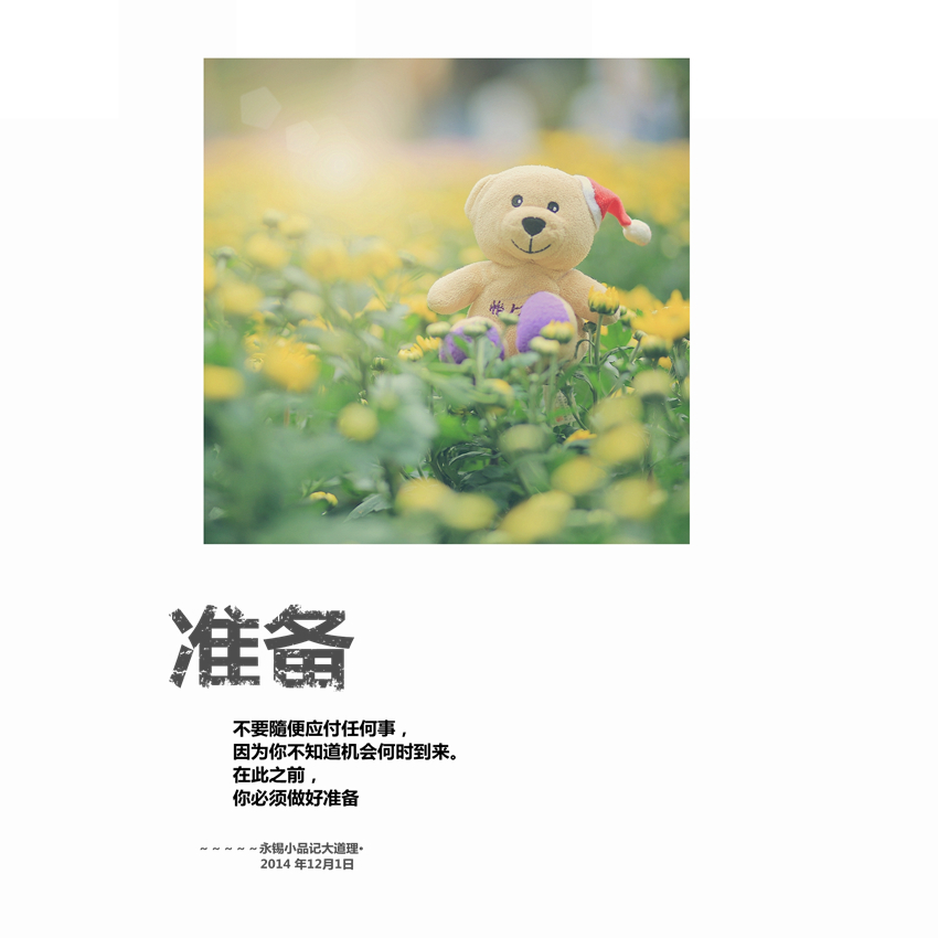 【小品菊之人生哲理。摄影图片】深圳东湖公园