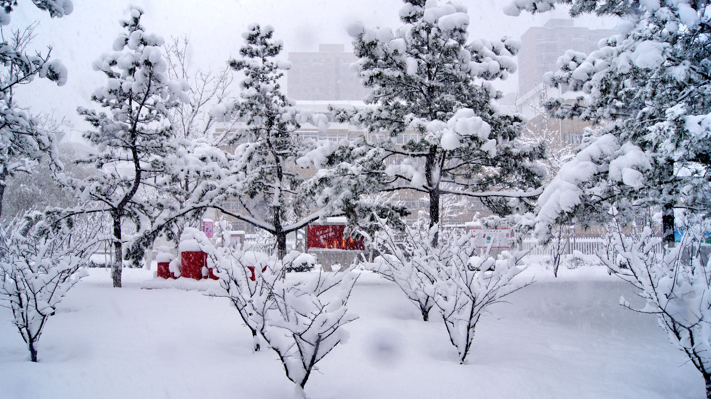 暴风雪后，威海雪景美如画，还有可爱雪人_运行