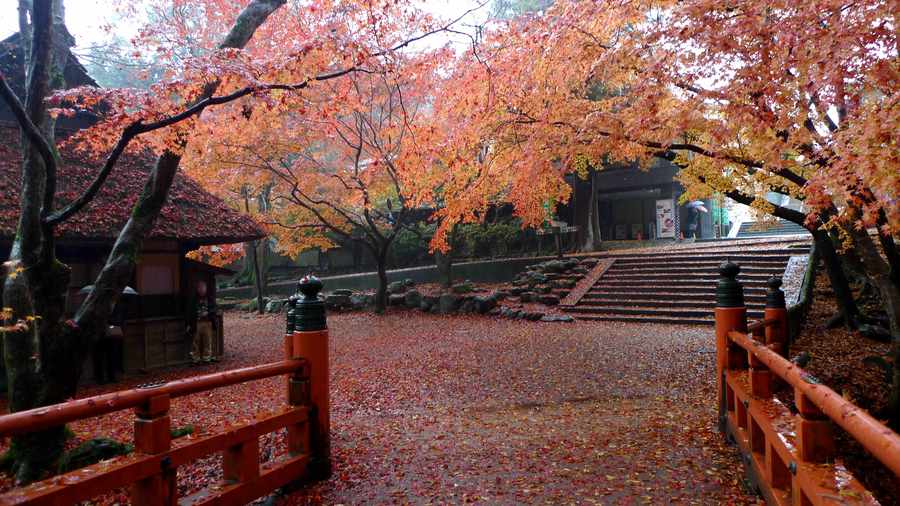 【晚秋:日本奈良摄影图片】风光旅游摄影_太平洋电脑网摄影部落