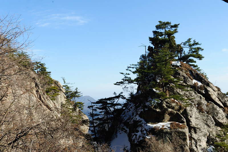 王顺山