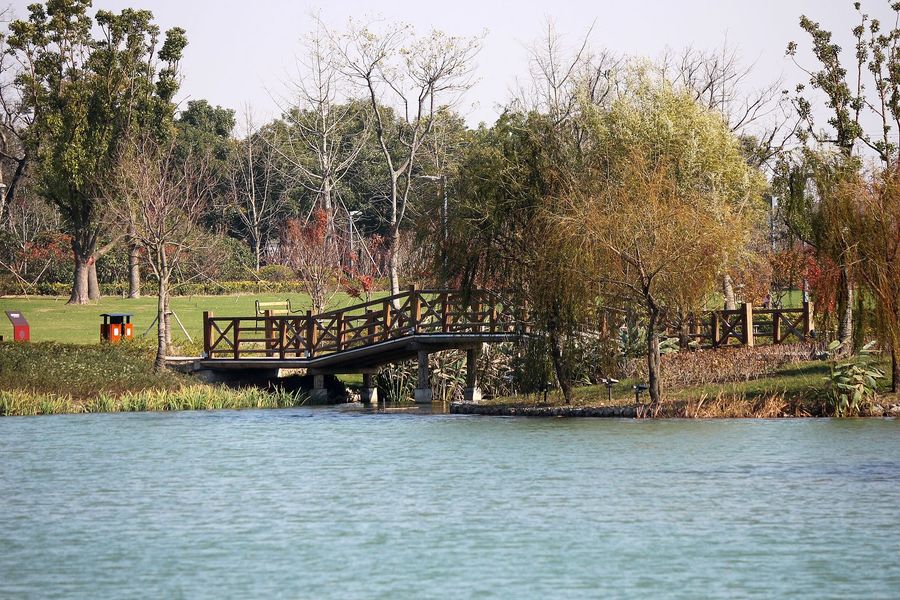 芦荡湖湿地公园