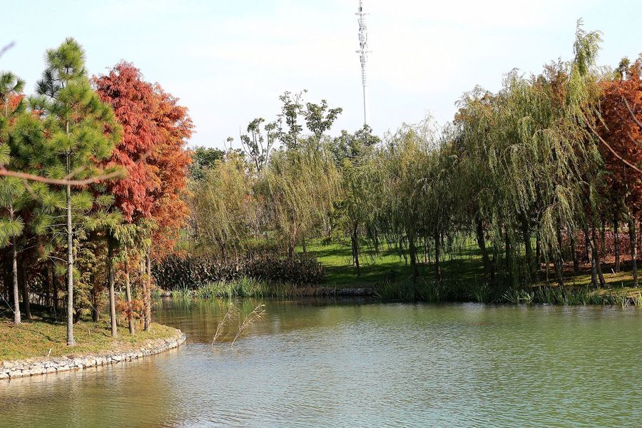 芦荡湖湿地公园 (/)