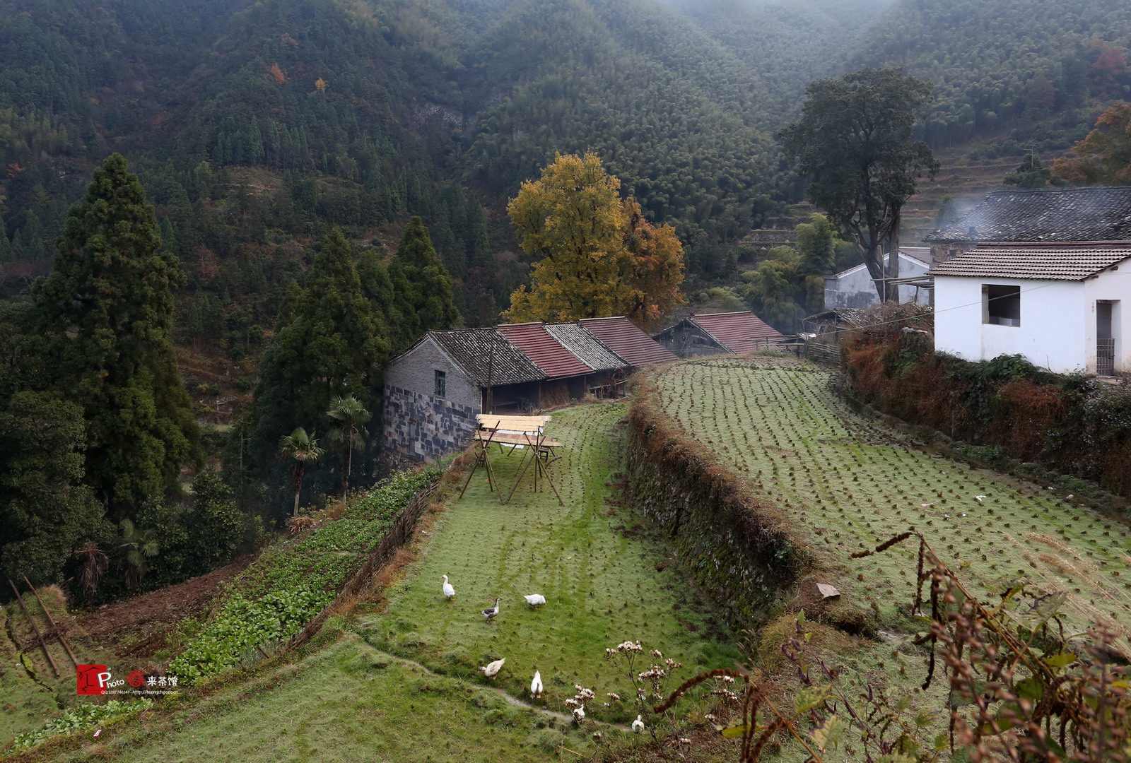 【远眺山景-淡竹乡采风摄影图片】浙江 仙居淡竹风光摄影_春来影像