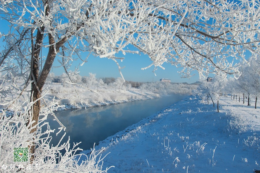 【雪之梦-新华湖再拍摄影图片】大庆新华湖风