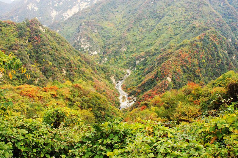 祥峪,高冠峪,紫阁峪穿越(走秦岭—秋之篇)