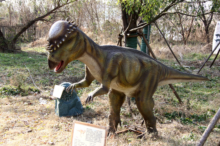 【南京绿博园恐龙世界 【上】摄影图片】生活