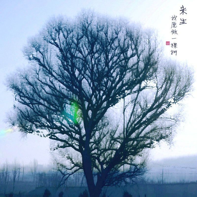 【来生,我愿做一棵树(一)摄影图片】护村河生态
