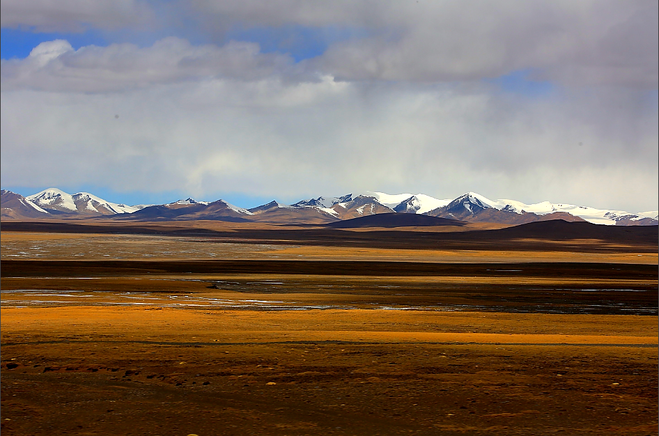 走过西藏―金秋的羌塘草原