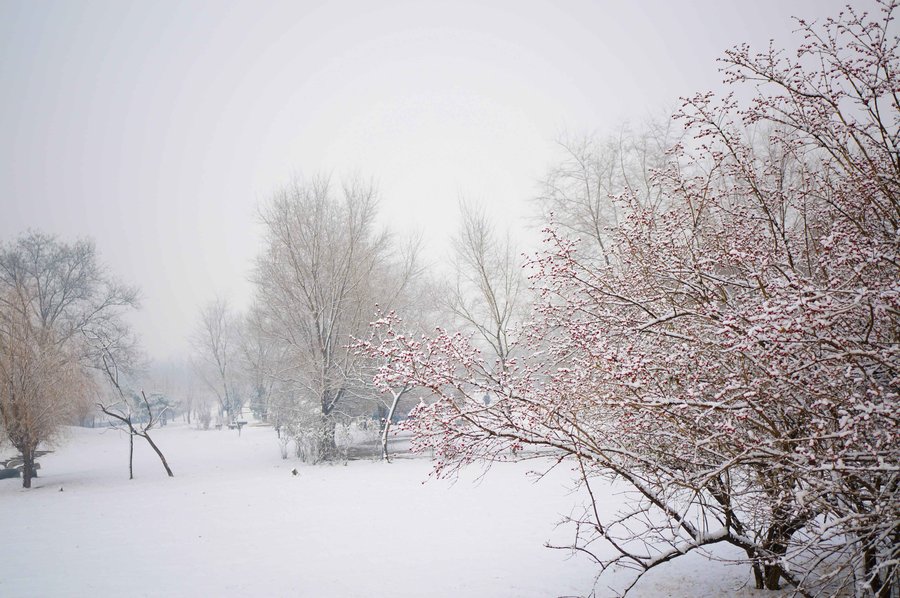 2014年的第一场雪 (共p)