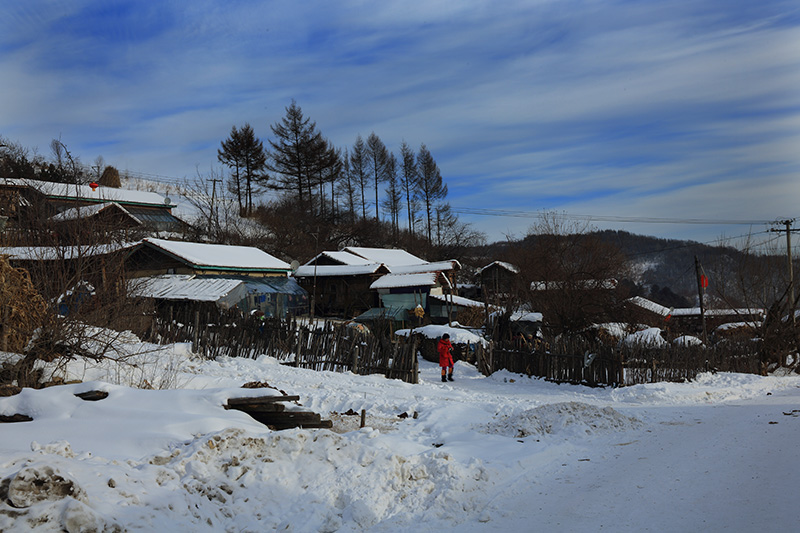 雪村松岭