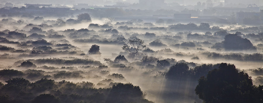 【广州万亩果园中的晨雾摄影图片】风光旅游摄