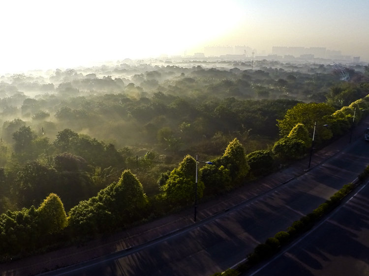 【广州万亩果园中的晨雾摄影图片】风光旅游摄