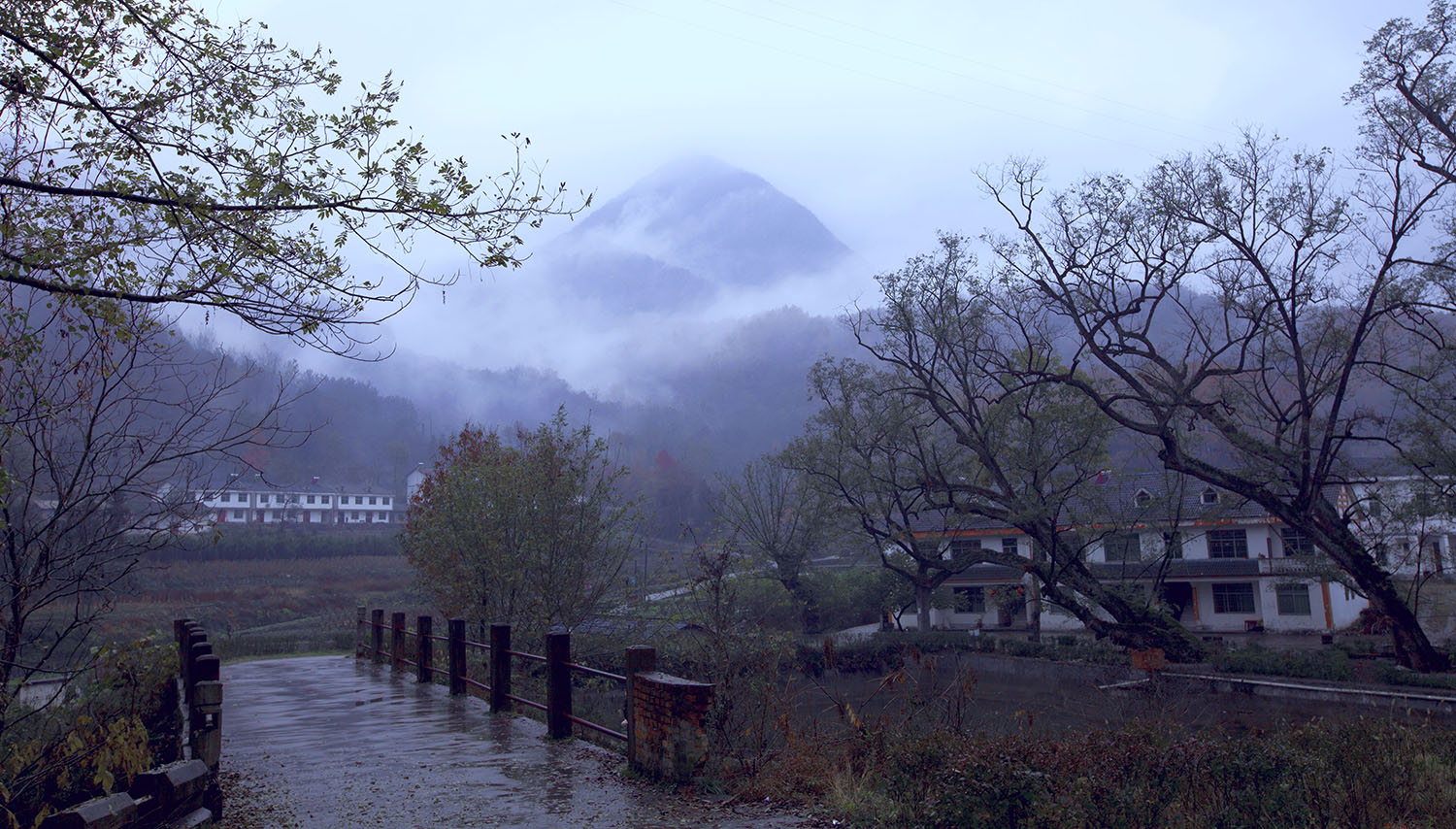 随意的美——烟雨的三清山实拍组图-三清山旅游网