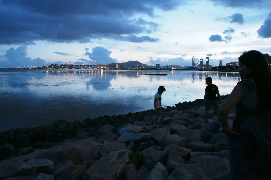 【红树林夜景摄影图片】深圳红树林风光摄影_太平洋电脑网摄影部落