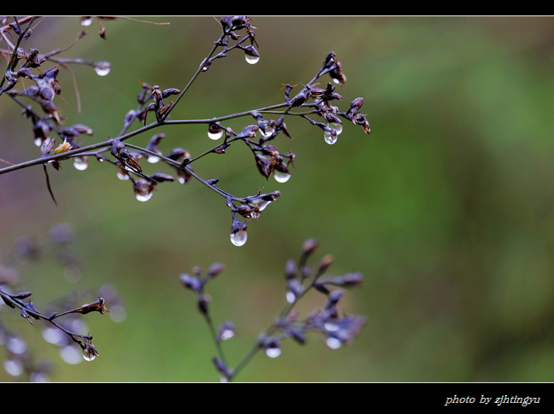 我在冬季里听雨