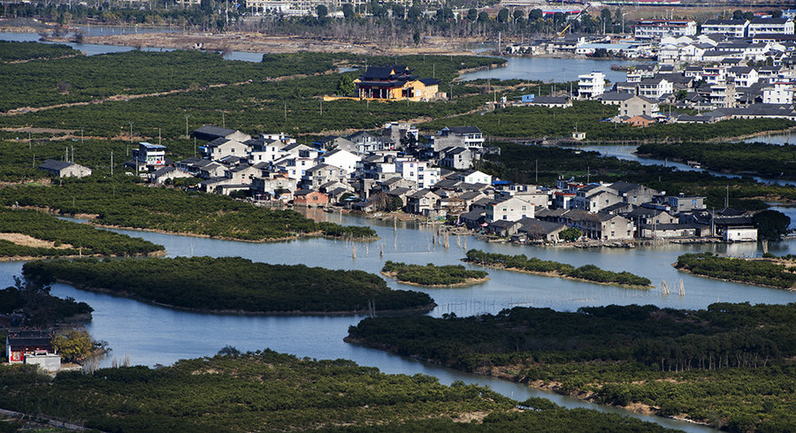 三垟湿地