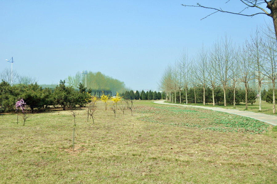 天津蓟县州河公园小景