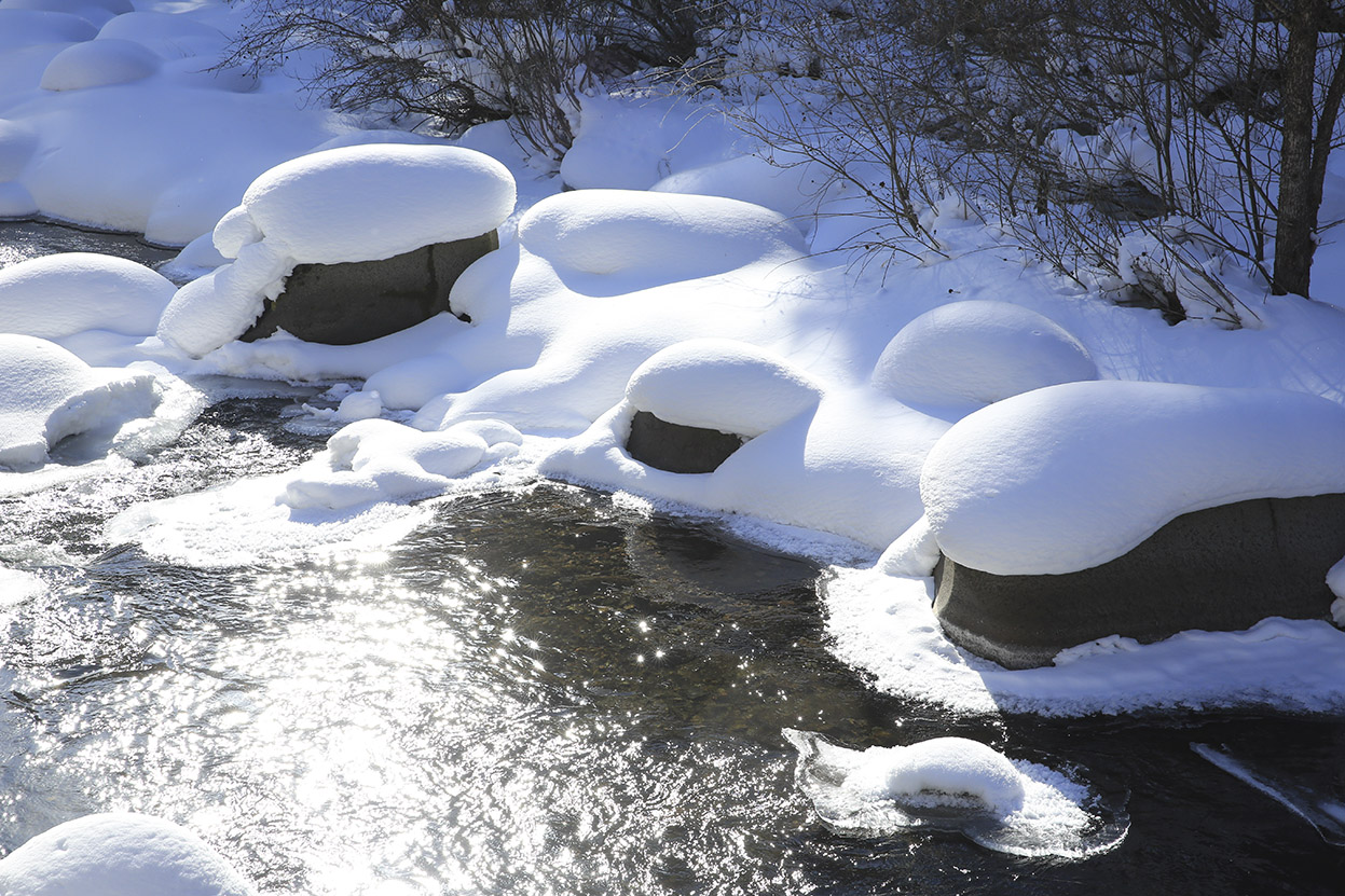 雪蘑菇