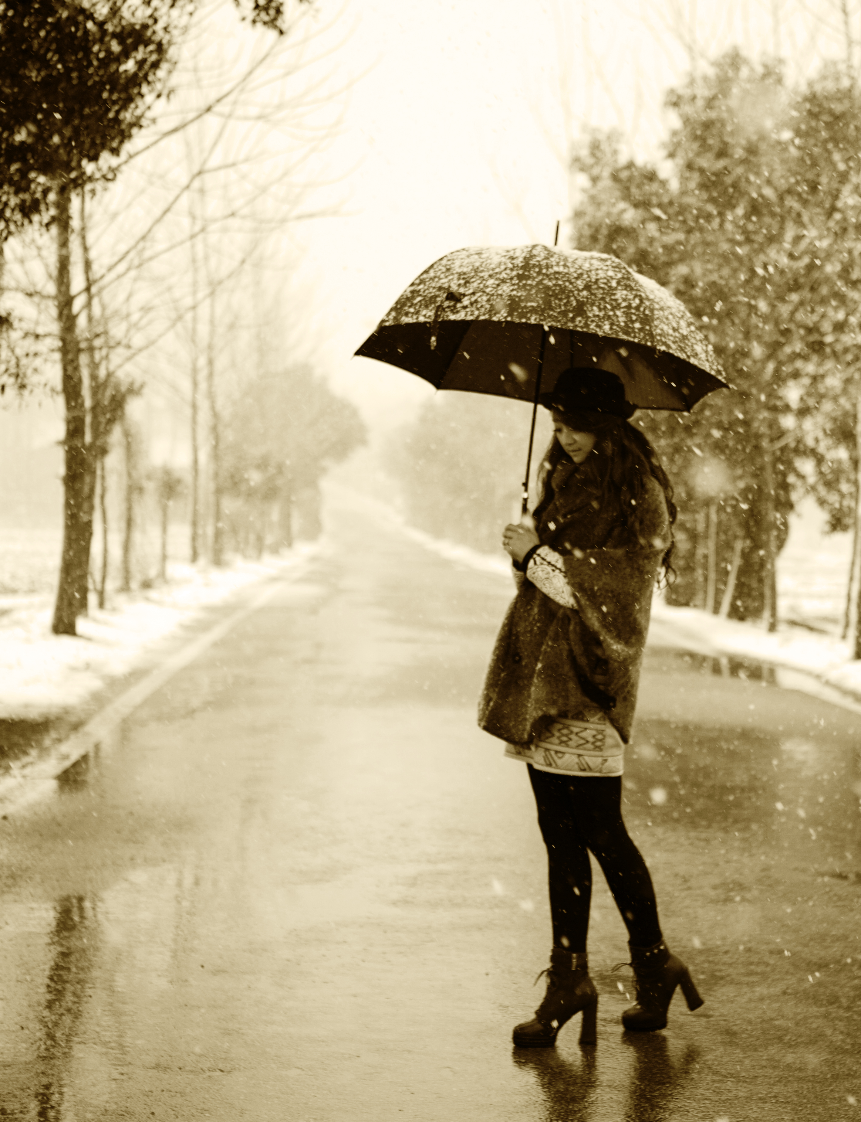 冬季来这里看雪