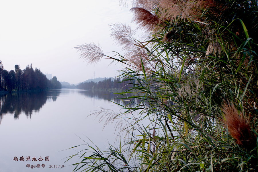 顺德湿地公园 (共 9 p)