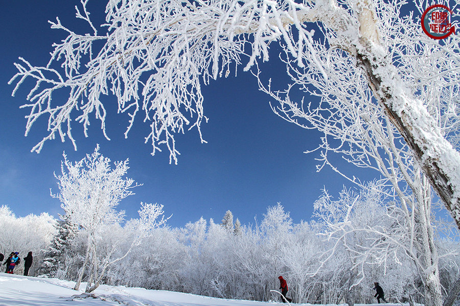【延边雪乡-摄影图片】吉林省延边州和龙老岭