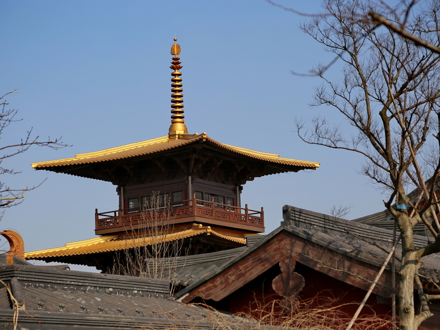 【上海广富林古文化遗址公园(在建)摄影图片】