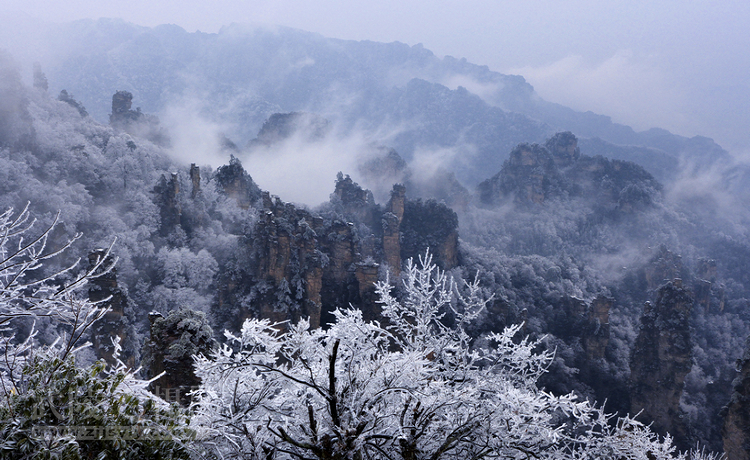 天子山雪景水墨画