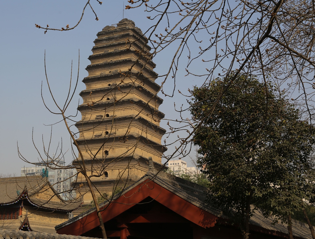 冬日闲游小雁塔(一)