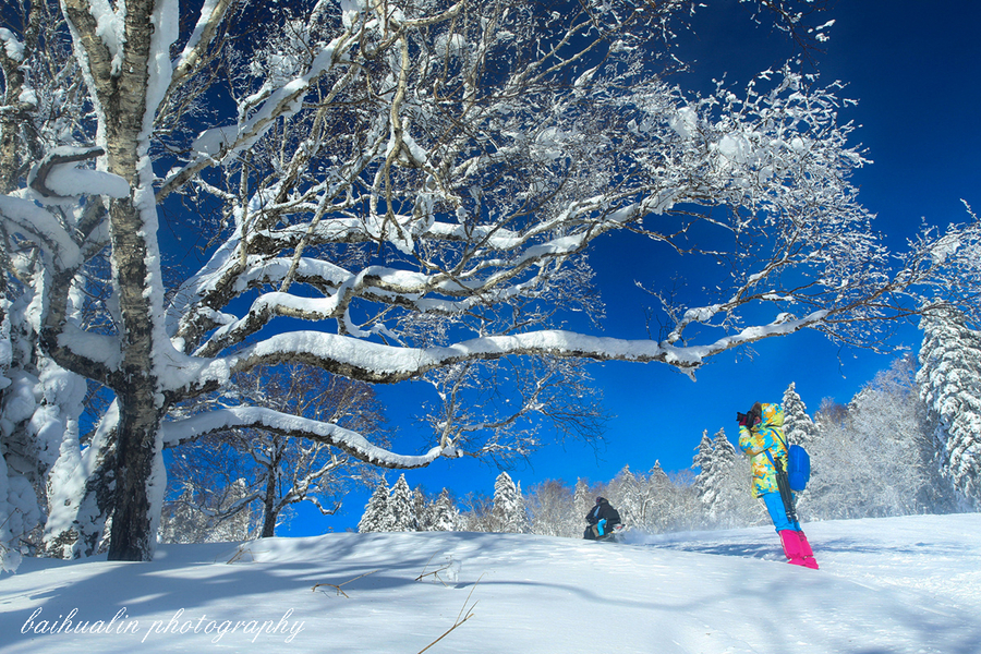 【我爱你塞北的雪摄影图片】中国雪乡风景区风